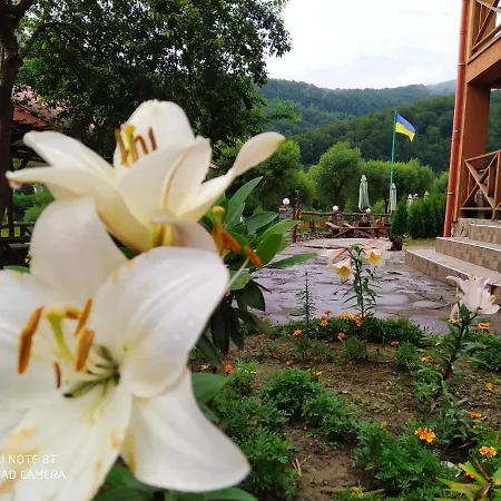 Отель Bilovoddya