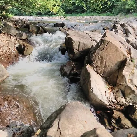 Отель Bilovoddya *