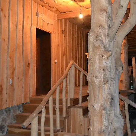 Отель Bilovoddya *