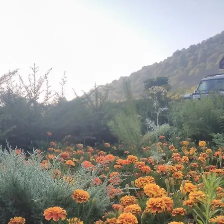 Bilovoddya Hotel Sil