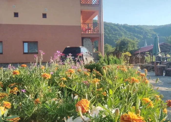 Bilovoddya * Sil