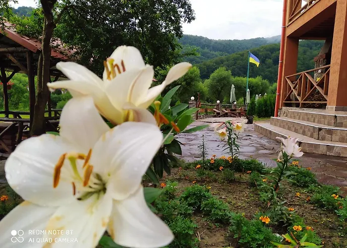 Hotel Bilovoddya