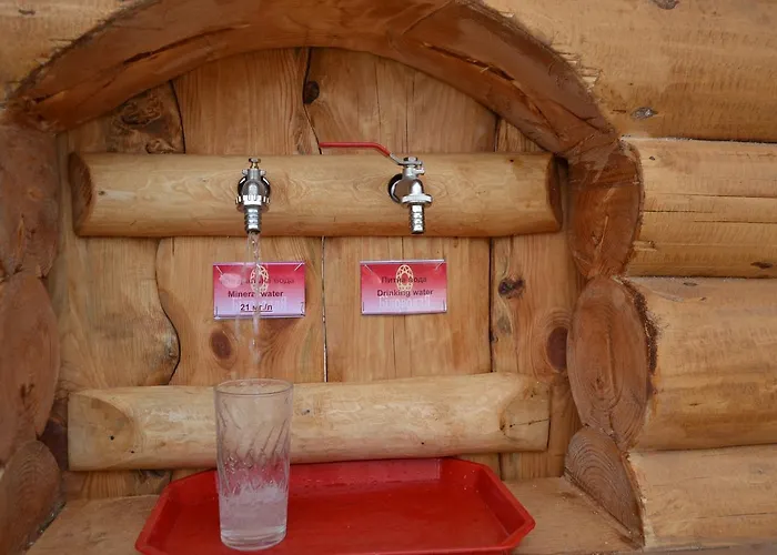 Hotel Bilovoddya *